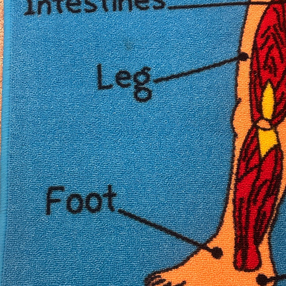 Colorful Educational Body Parts Rug - Picture 2 of 5